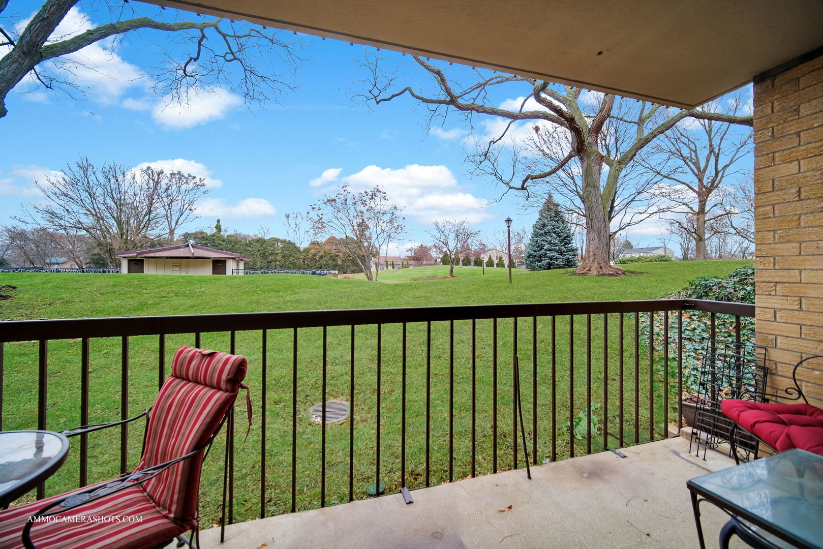 1105 North Mill Street, Unit 117 Naperville, IL 60563 - Photo 15 of 23 a balcony with an outdoor view