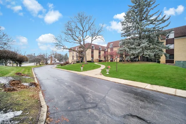 a view of a park with large trees