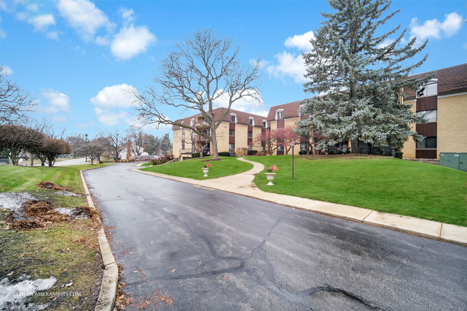 1105 North Mill Street, Unit 117 Naperville, IL 60563 - Photo 23 of 23 a view of a park with large trees