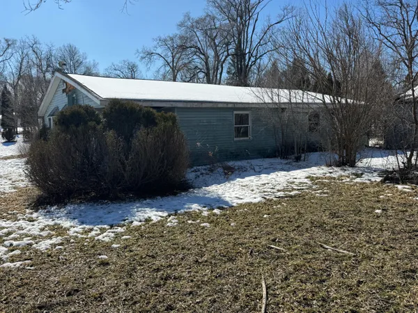 a view of backyard with a large tree