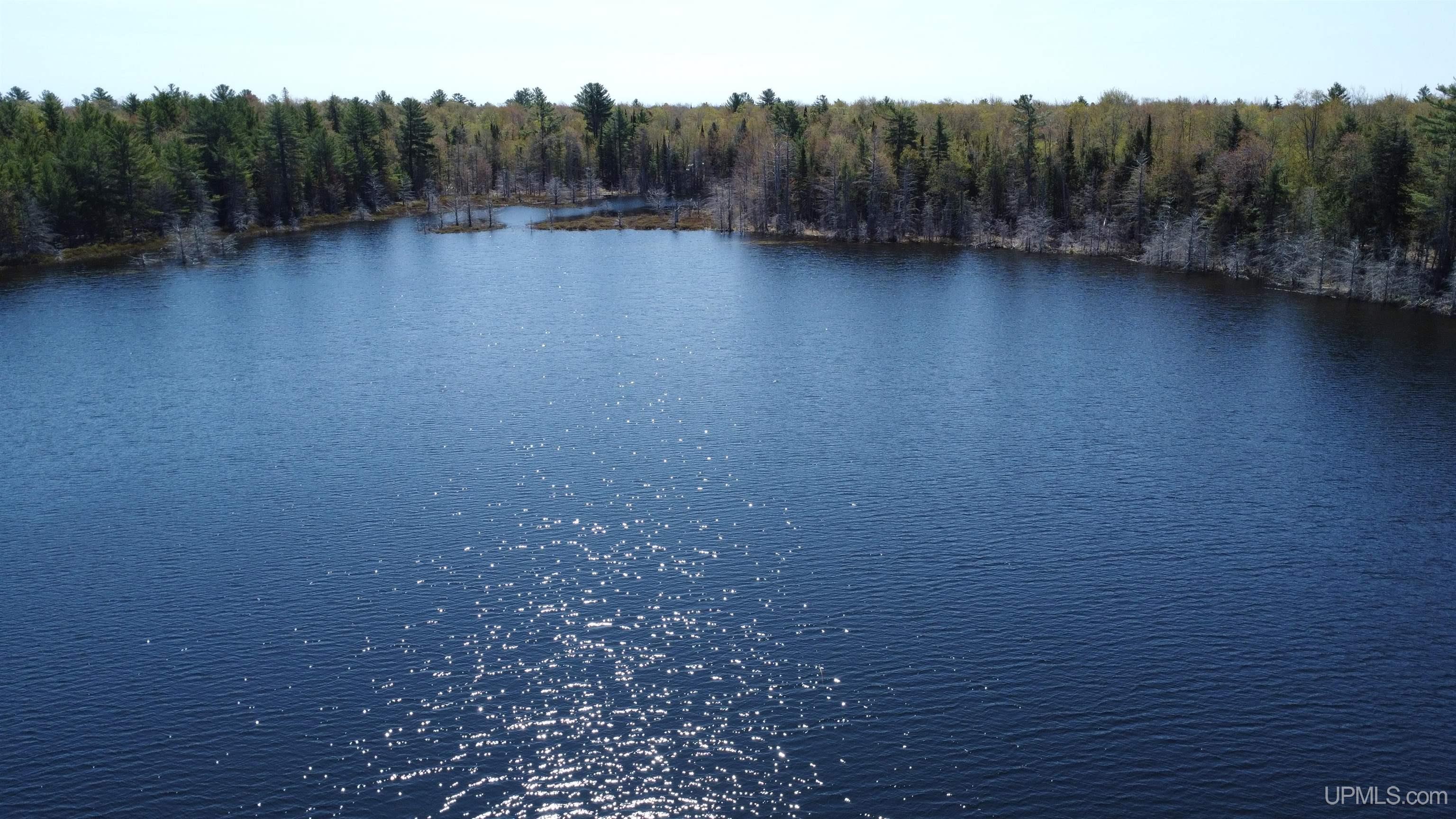 Off Adams Trail Shingleton, MI 49884 - Photo 14 of 46