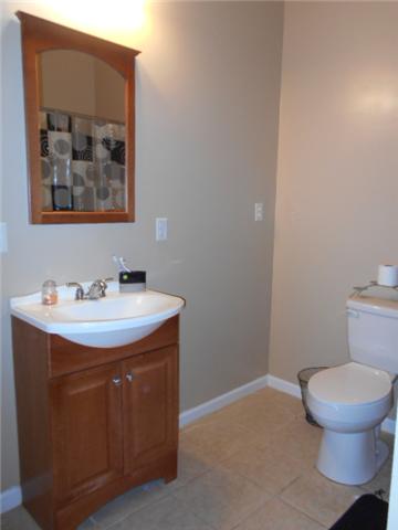 1422 Springplace Road Lewisburg, TN 37091 - Photo 14 of 19 Guest House: Second bathroom.
