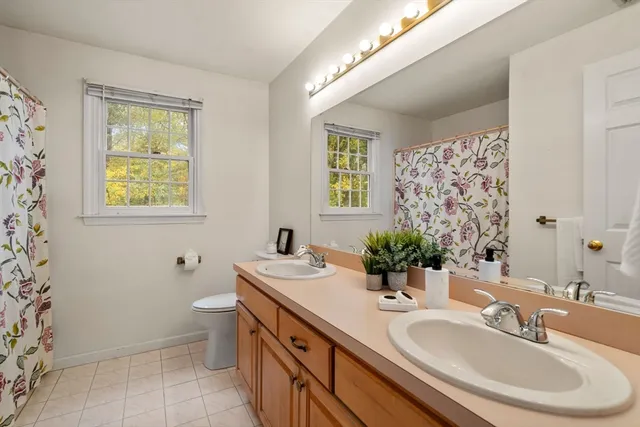 a bathroom with a double vanity sink toilet and a mirror