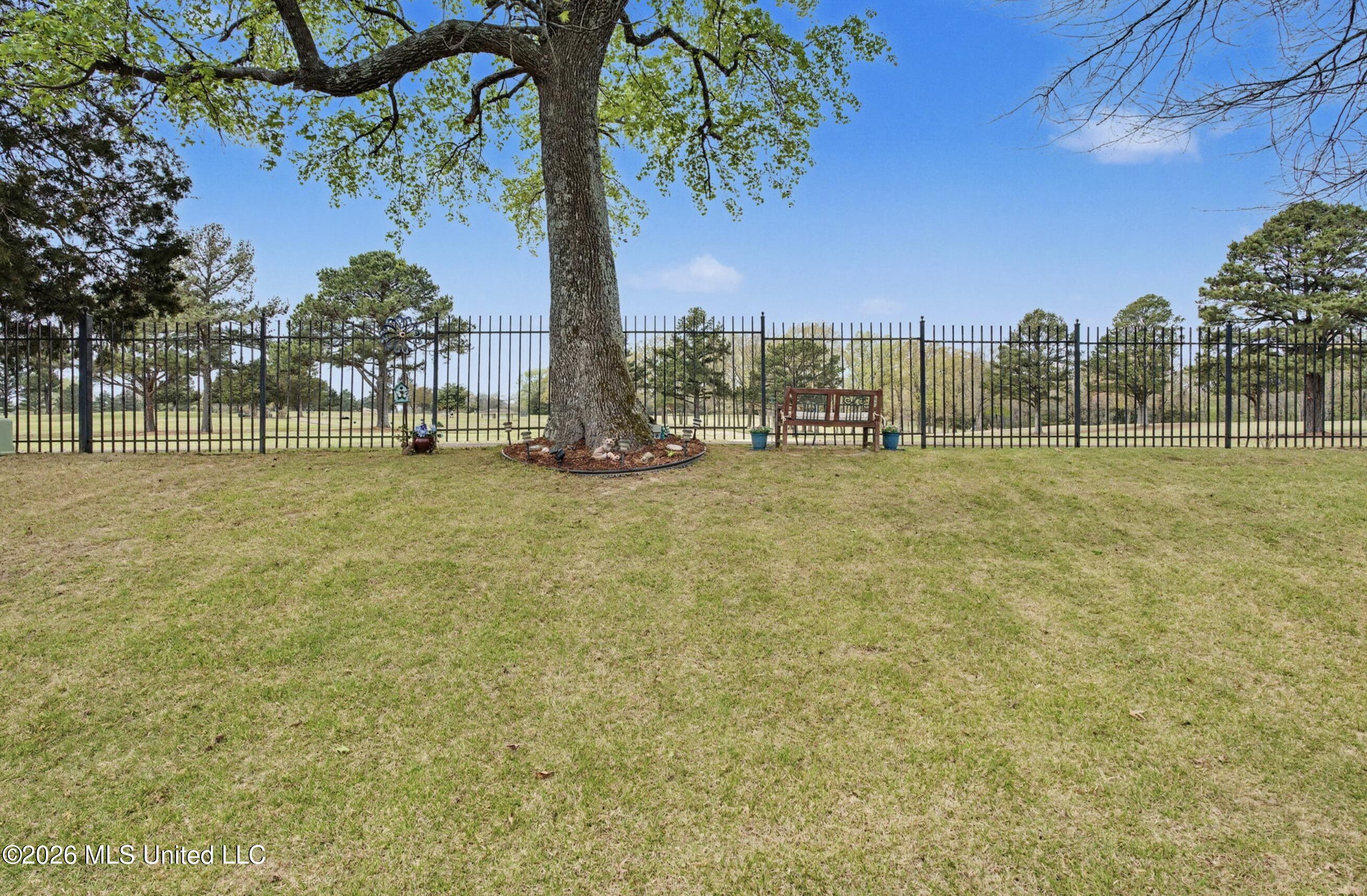 7741 Meadow Ridge Lane Olive Branch, MS 38654 - Photo 25 of 31 IMG_1313