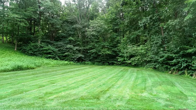 a view of a green yard
