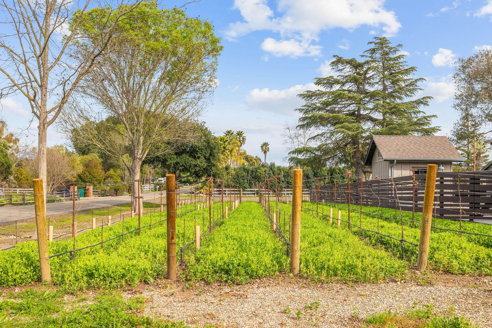 1190 North Refugio Road Santa Ynez, CA 93460 - Photo 29 of 36 FA2A2028-Edit