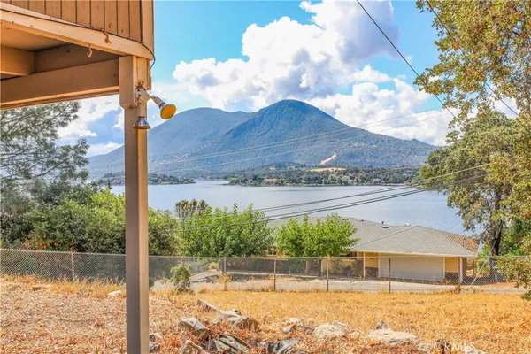 a view of a yard with large tree
