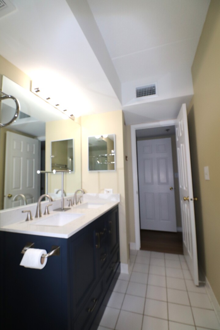 112 Day Street, Unit 204 Bloomingdale, IL 60108 - Photo 12 of 17 a bathroom with a sink vanity and mirror