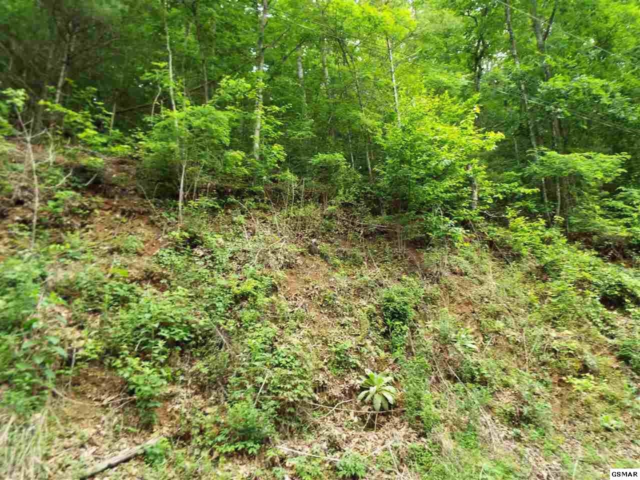 14 Sunset Road Sevierville, TN 37862 - Photo 11 of 20