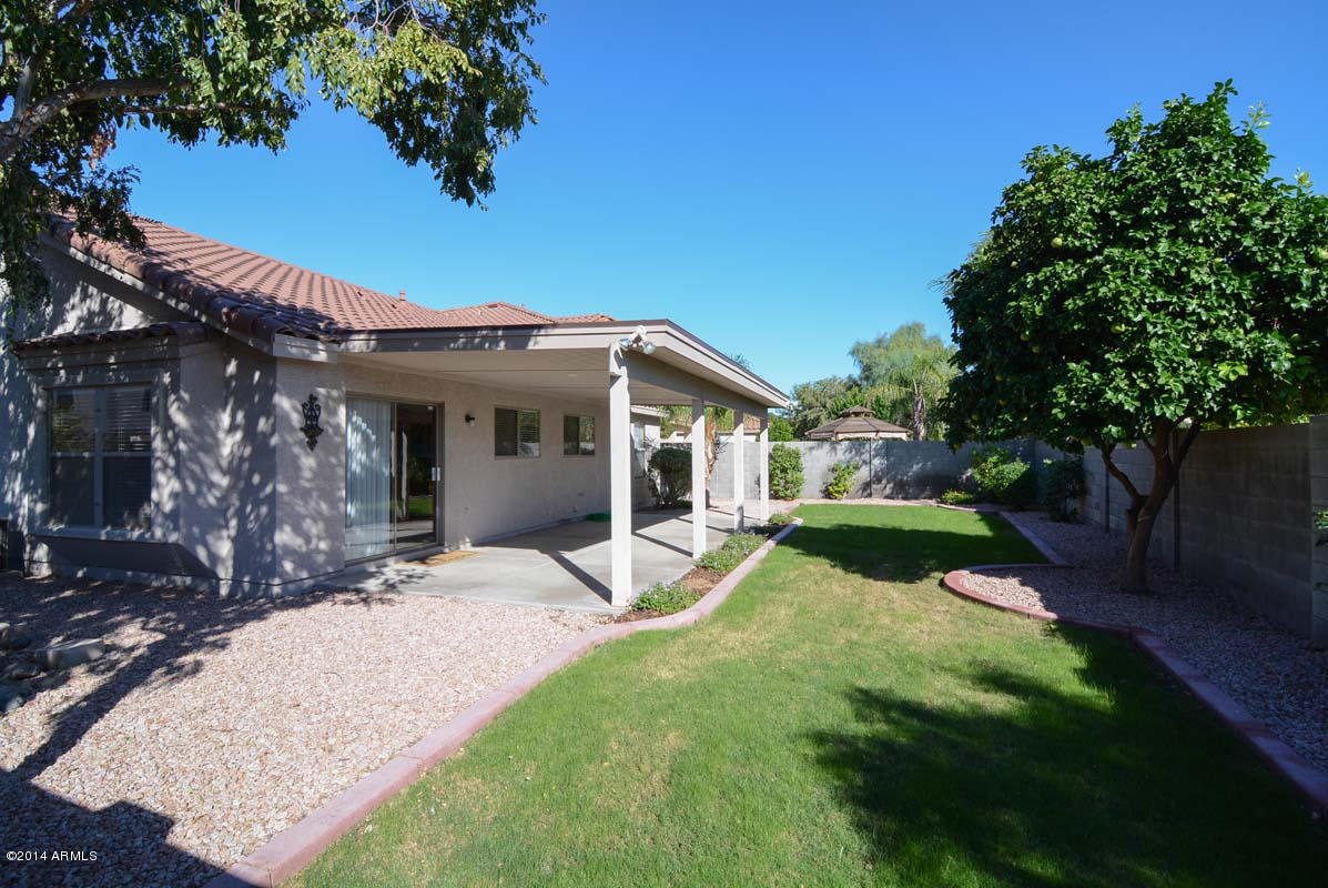 4015 East Rowel Road Phoenix, AZ 85050 - Photo 9 of 12 Backyard