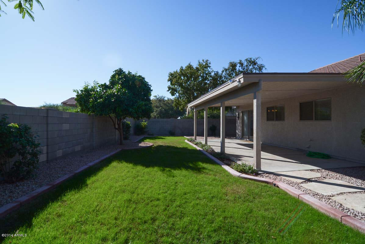 4015 East Rowel Road Phoenix, AZ 85050 - Photo 10 of 12 Backyard2
