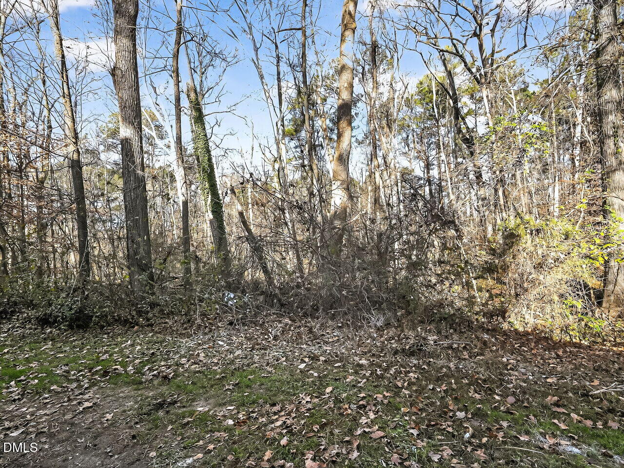 3204 Coachman's Way Durham, NC 27705 - Photo 24 of 27 a view of forest