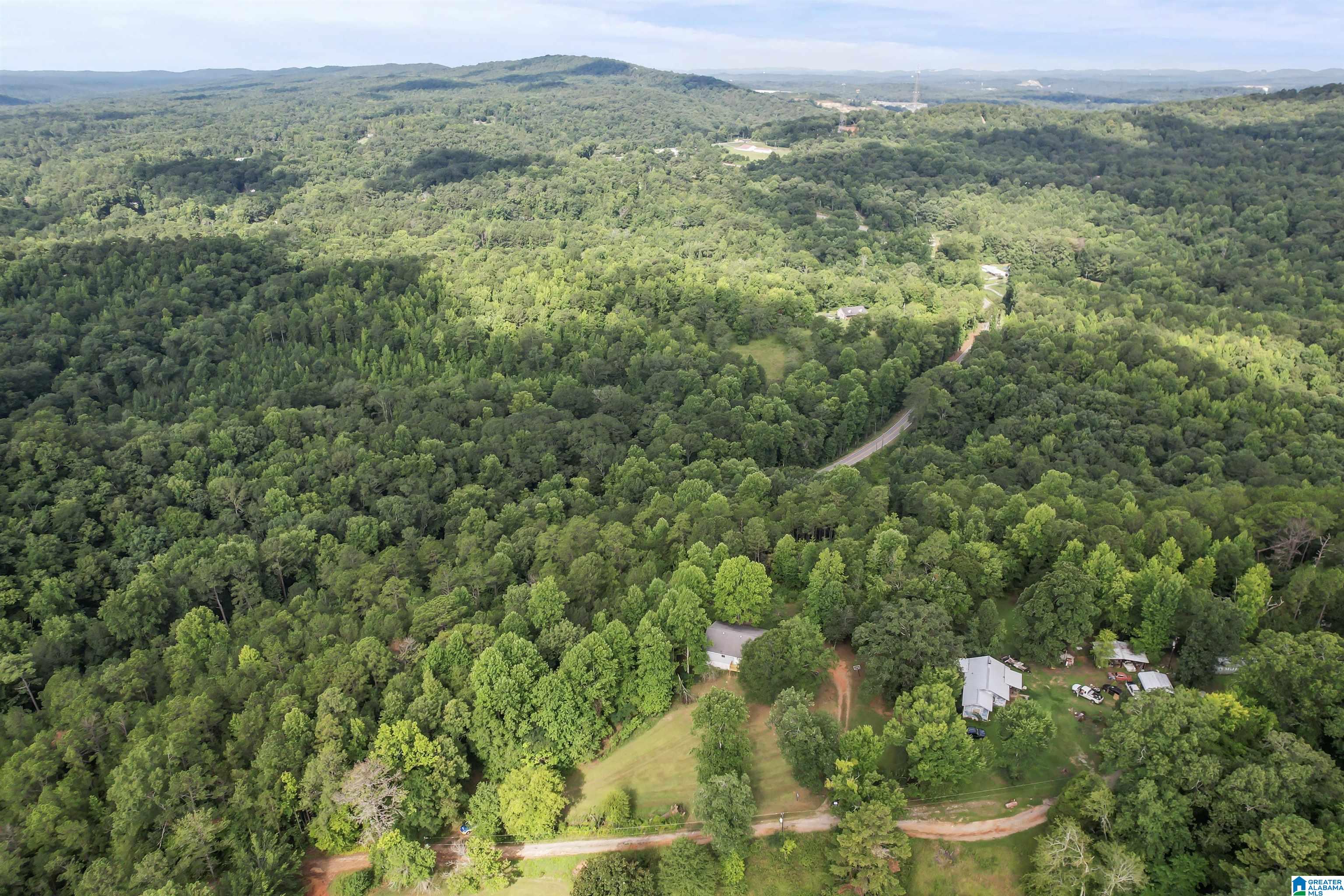 225 Sunset Hl Road Pell City, AL 35128 - Photo 8 of 33