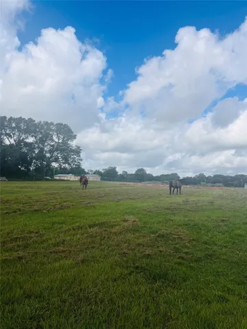 a view of an ocean and a yard