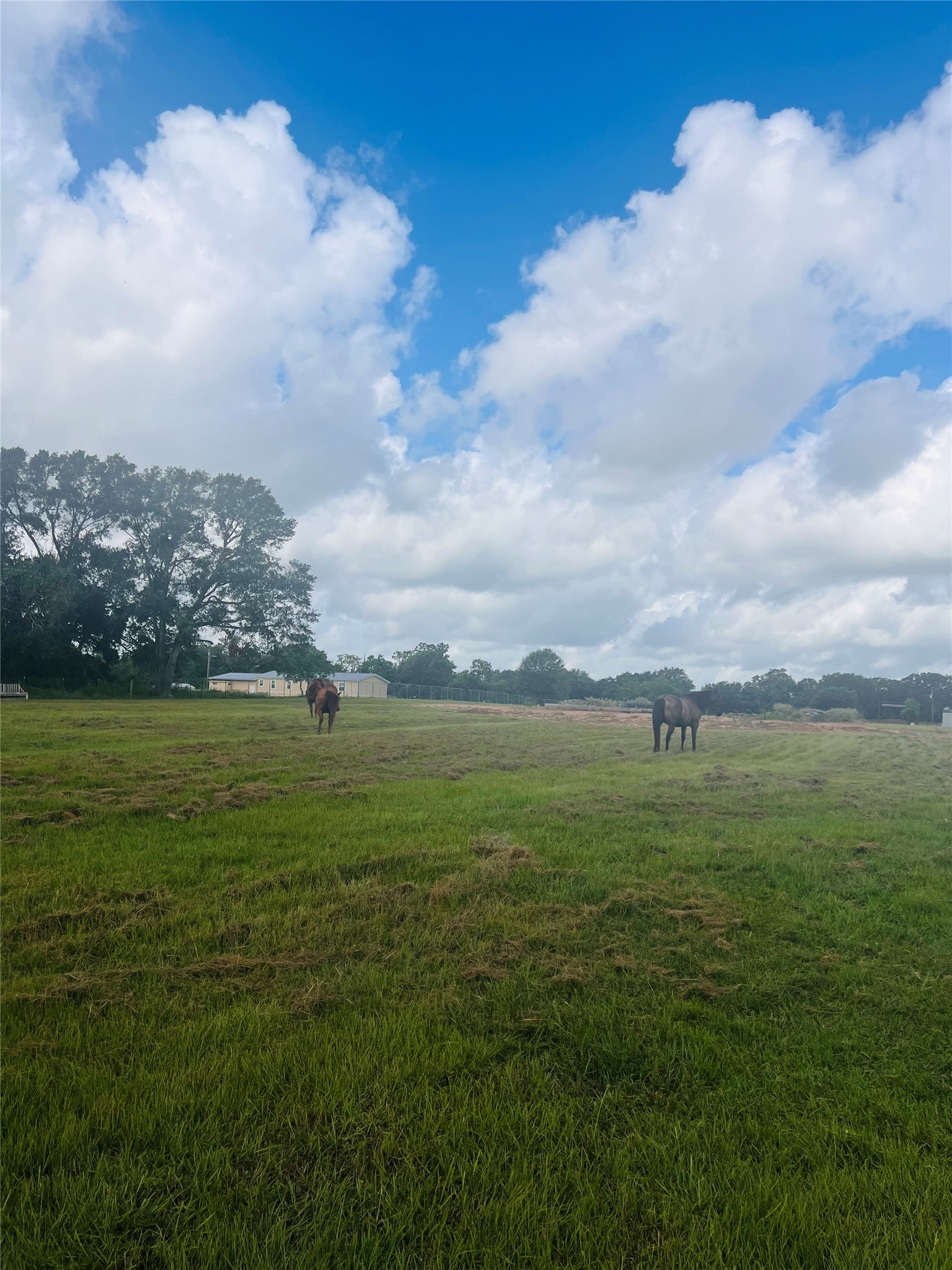 21728 Fairground Road Hempstead, TX 77445 - Photo 15 of 23 a view of an ocean and a yard