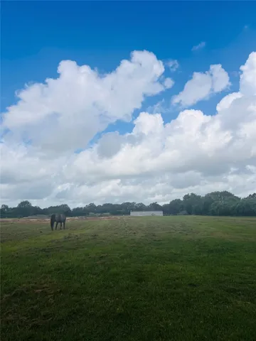 a grassy field with trees in the background