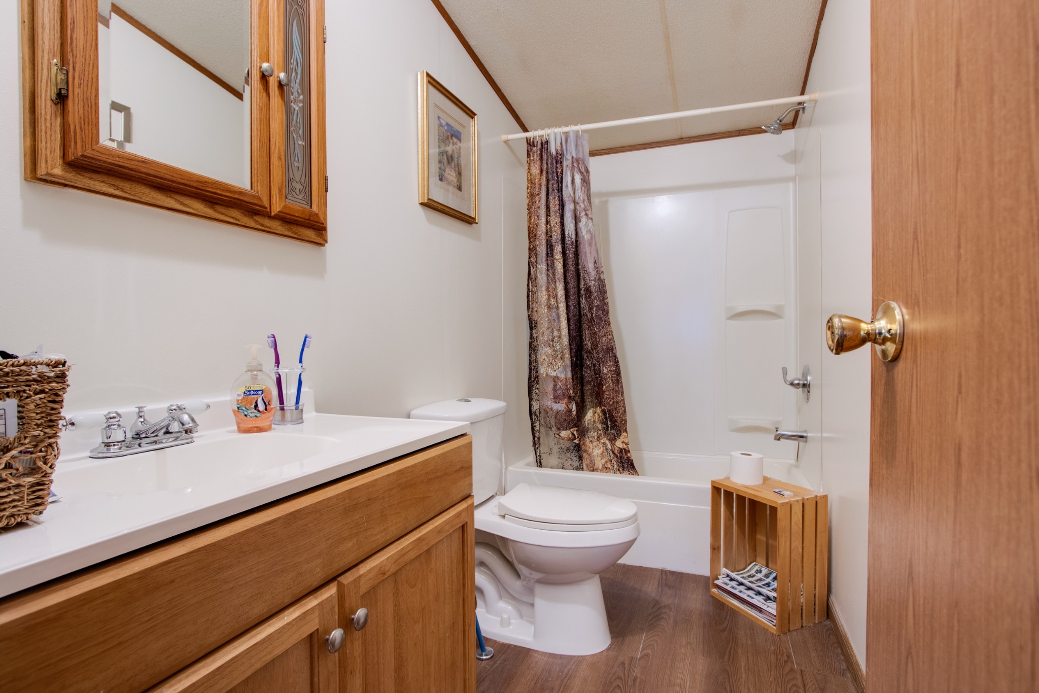745 Holloway Road Lebanon, TN 37090 - Photo 18 of 30 a bathroom with a sink a toilet and a shower