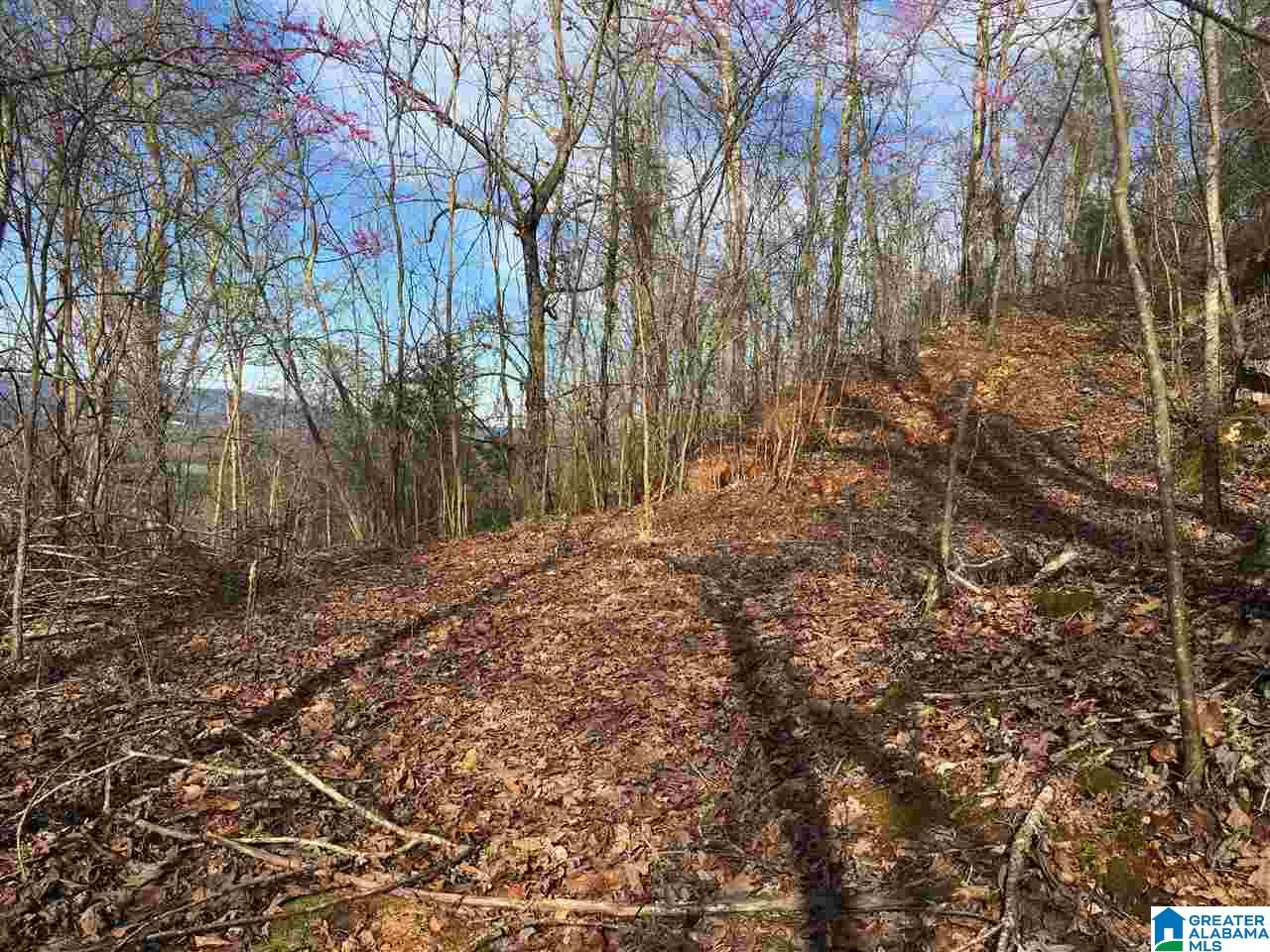 230 County Line Road Oxford, AL 36203 - Photo 23 of 50