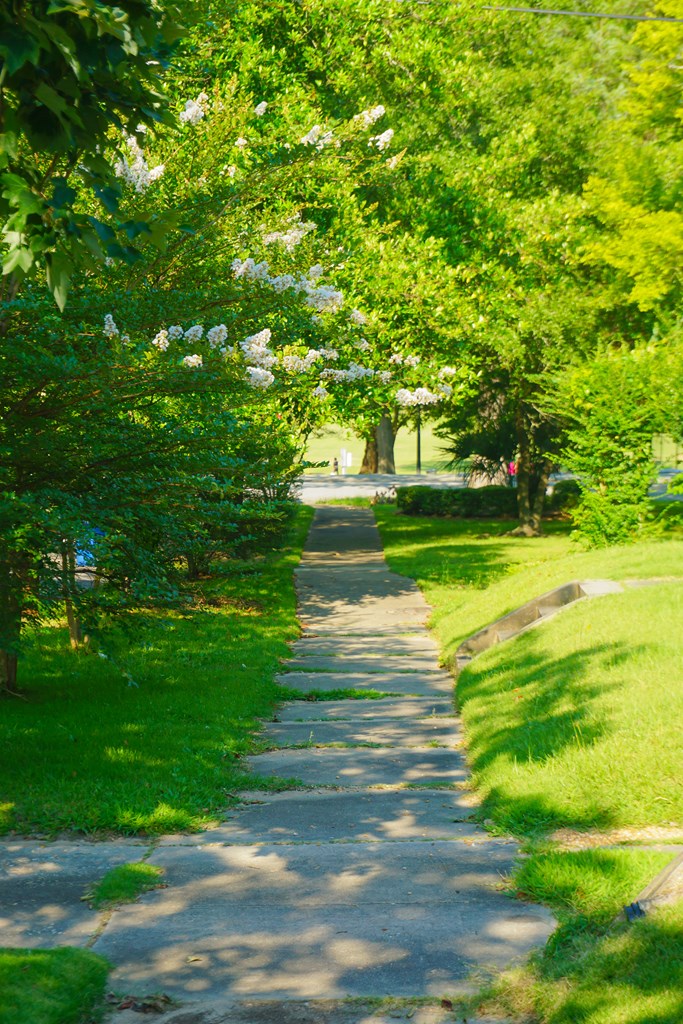 1708 18th Street Columbus, GA 31901 - Photo 29 of 29 Walk to Lakebottom Park