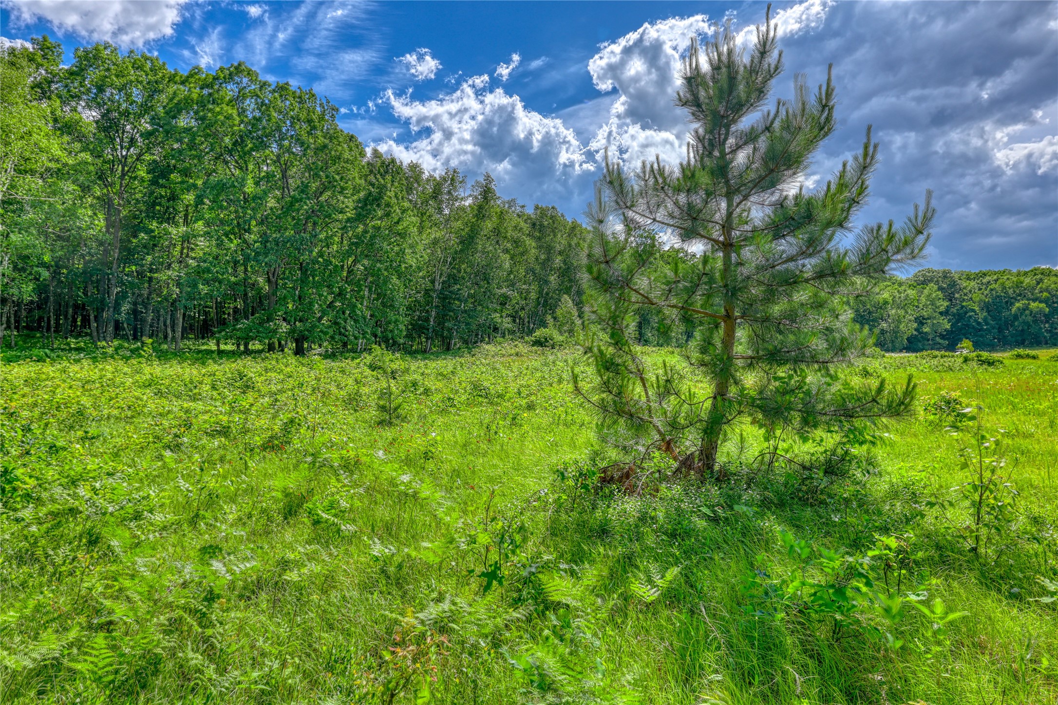 8009 Fox Road Spooner, WI 54801 - Photo 31 of 43