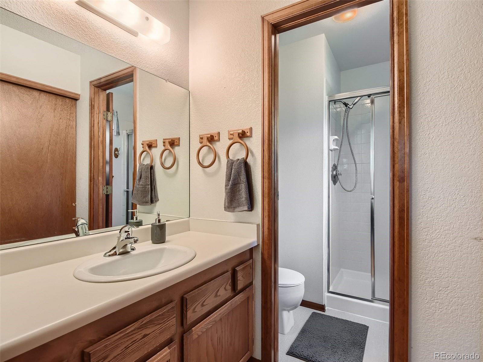 523 Ridgeglen Way Highlands Ranch, CO 80126 - Photo 16 of 27 Gallery Image 16