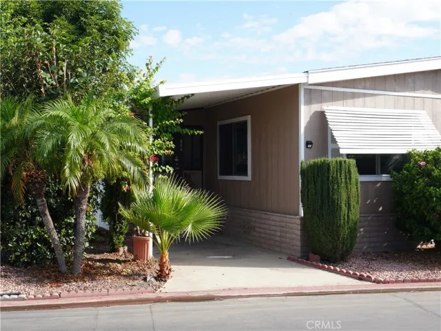 a potted plant sitting in front of a house