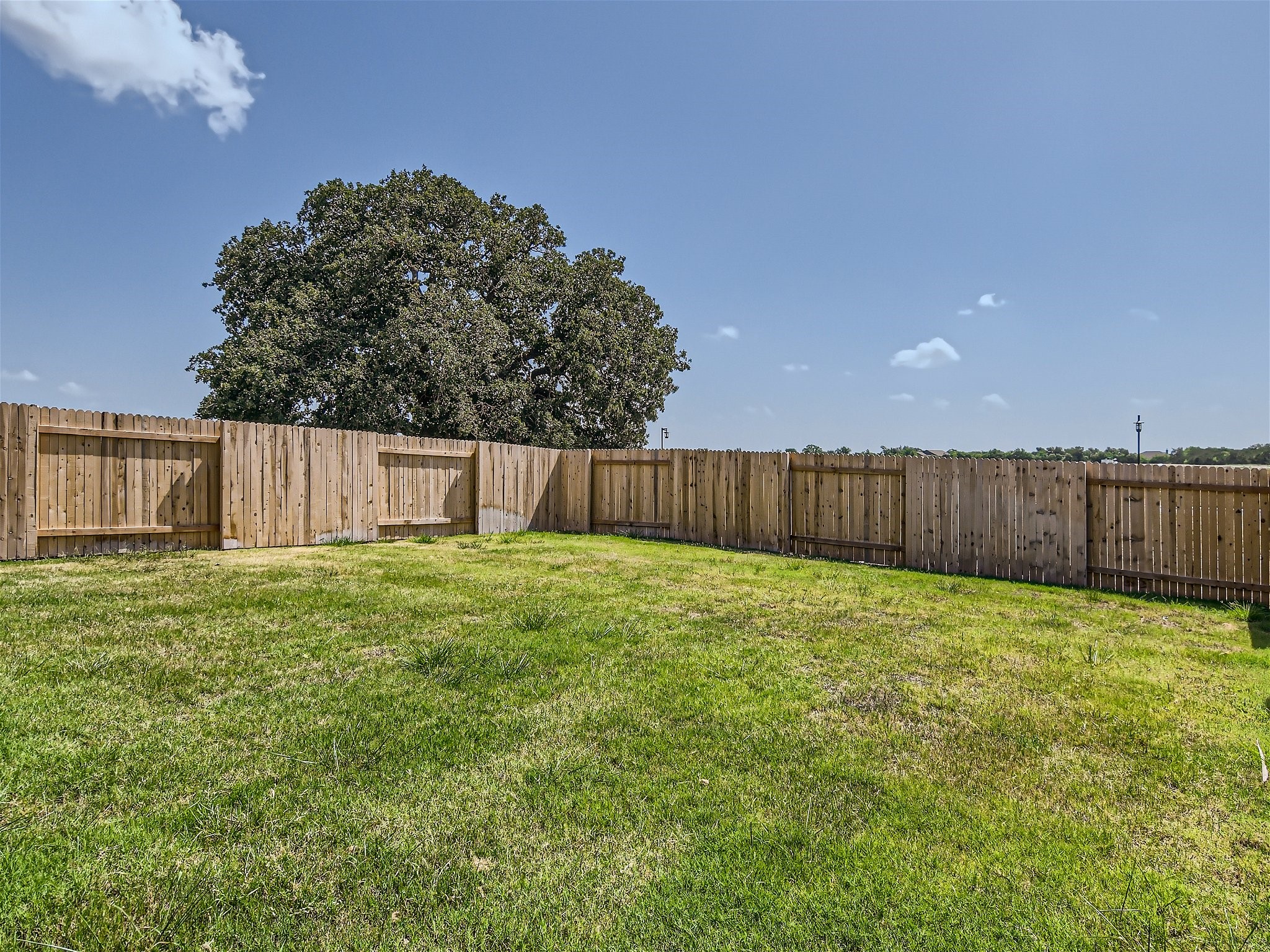 512 Dayspring Cove Georgetown, TX 78628 - Photo 21 of 27