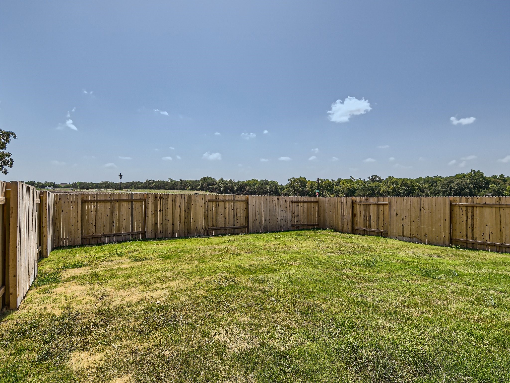 512 Dayspring Cove Georgetown, TX 78628 - Photo 22 of 27 No neighbor in back