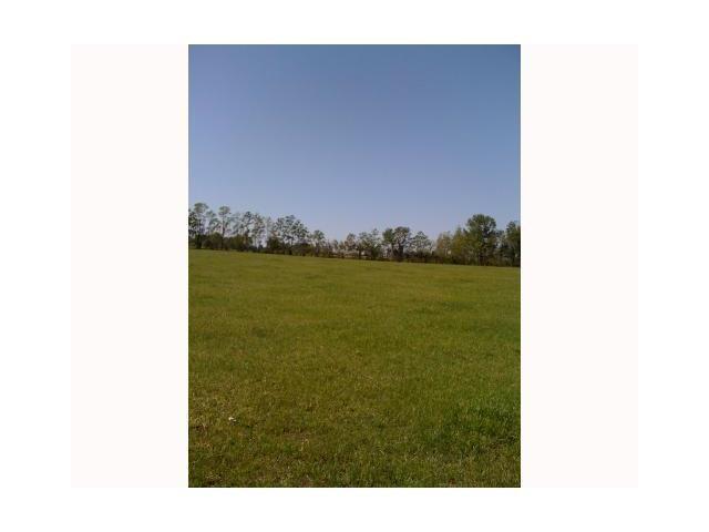 0 Willie Garrett Road Folsom, LA 70437 - Photo 3 of 14 Gallery Image 3
