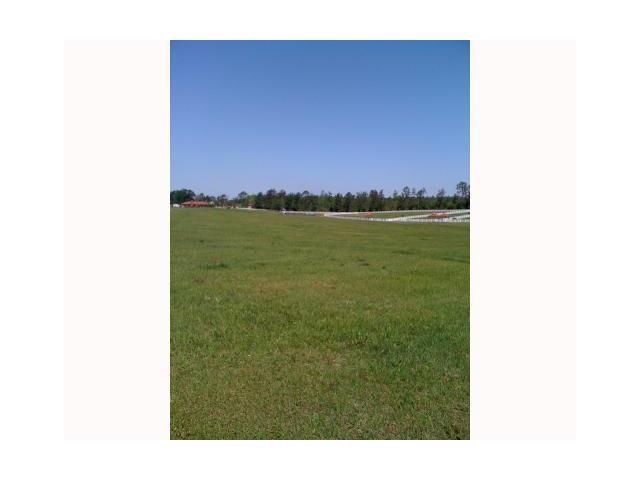 0 Willie Garrett Road Folsom, LA 70437 - Photo 6 of 14 Gallery Image 6