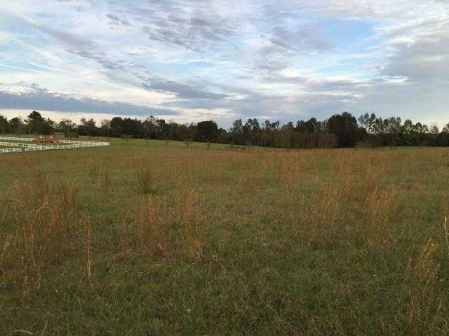 0 Willie Garrett Road Folsom, LA 70437 - Photo 9 of 14 Gallery Image 9