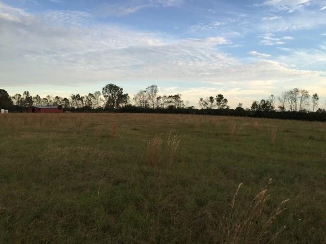 0 Willie Garrett Road Folsom, LA 70437 - Photo 10 of 14 Gallery Image 10