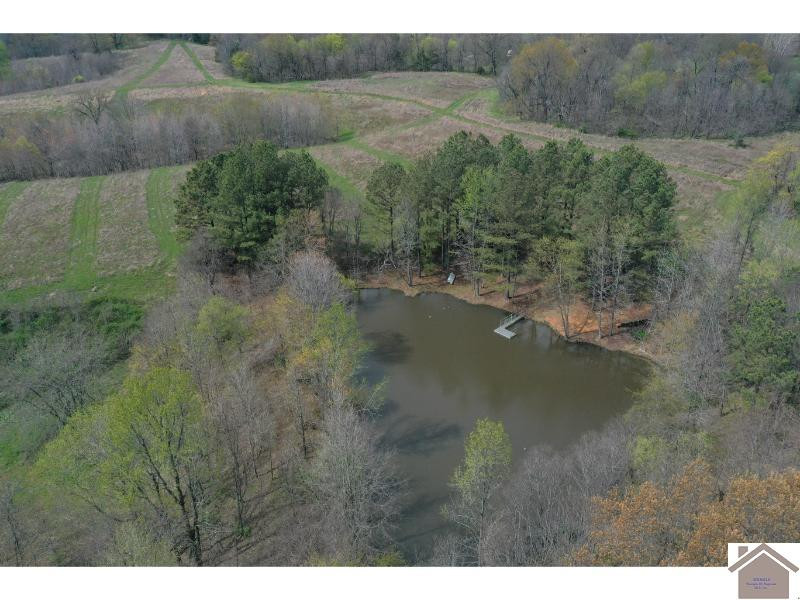 5851 Reuben Road Water Valley, KY 42085 - Photo 1 of 35 Photo 1