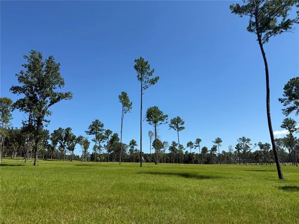 a view of a golf course with a garden