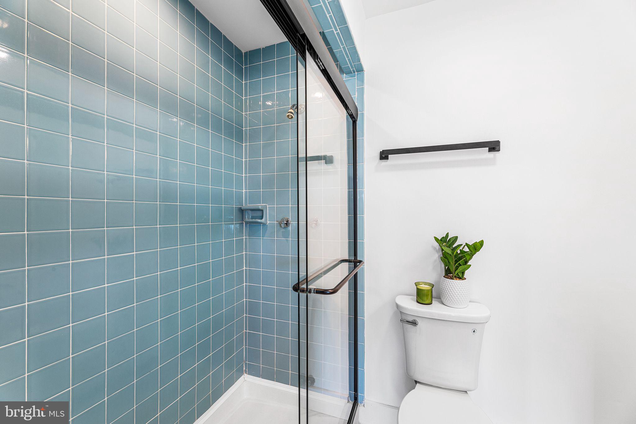 615 Salt Spray Road, Unit 3E Ocean City, MD 21842 - Photo 32 of 39 Primary bathroom walk in shower