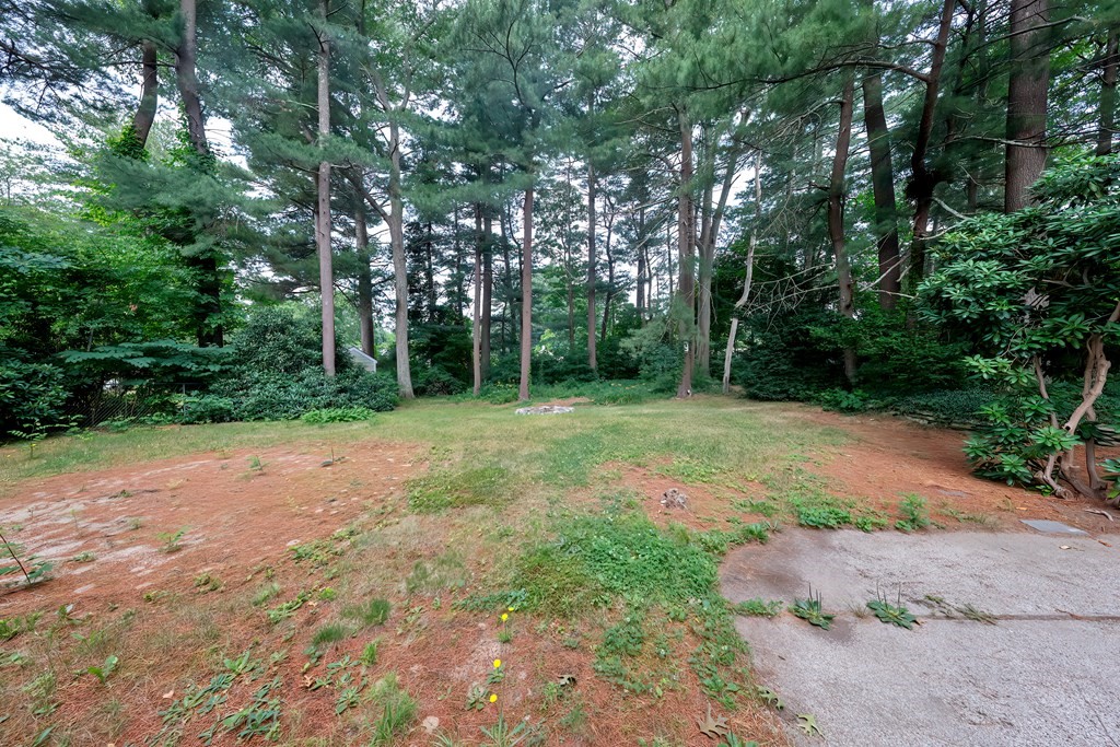 59 Michael Road Raynham, MA 02767 - Photo 21 of 22 Gallery Image 21