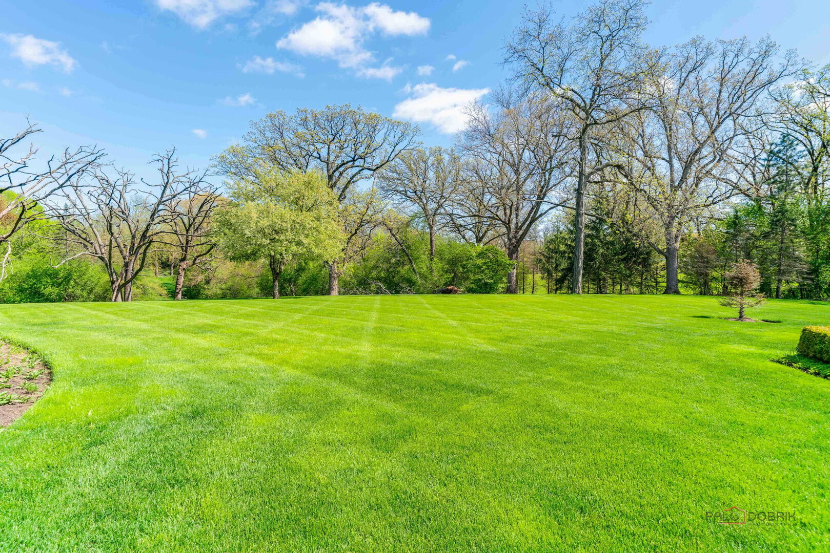 93 Hawley Woods Road Barrington, IL 60010 - Photo 86 of 91 a view of yard with green space