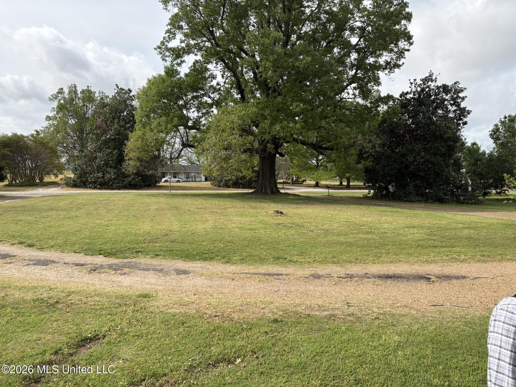 665 Baltzer Rome Road Tutwiler, MS 38963 - Photo 20 of 33 665 Baltzer-Rome.JPEG front yard