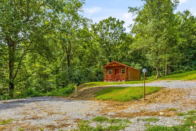 a view of a field with large trees
