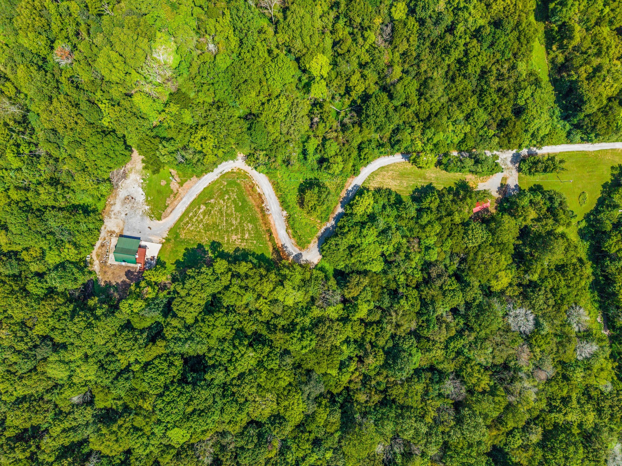 195 Curtis Road Fayetteville, TN 37334 - Photo 27 of 45 a close up of a plant in a garden