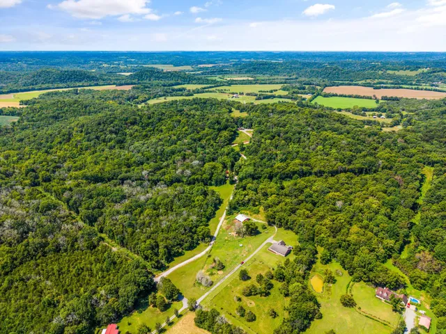 a view of a green field with lots of bushes
