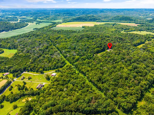 a view of a city with lush green forest