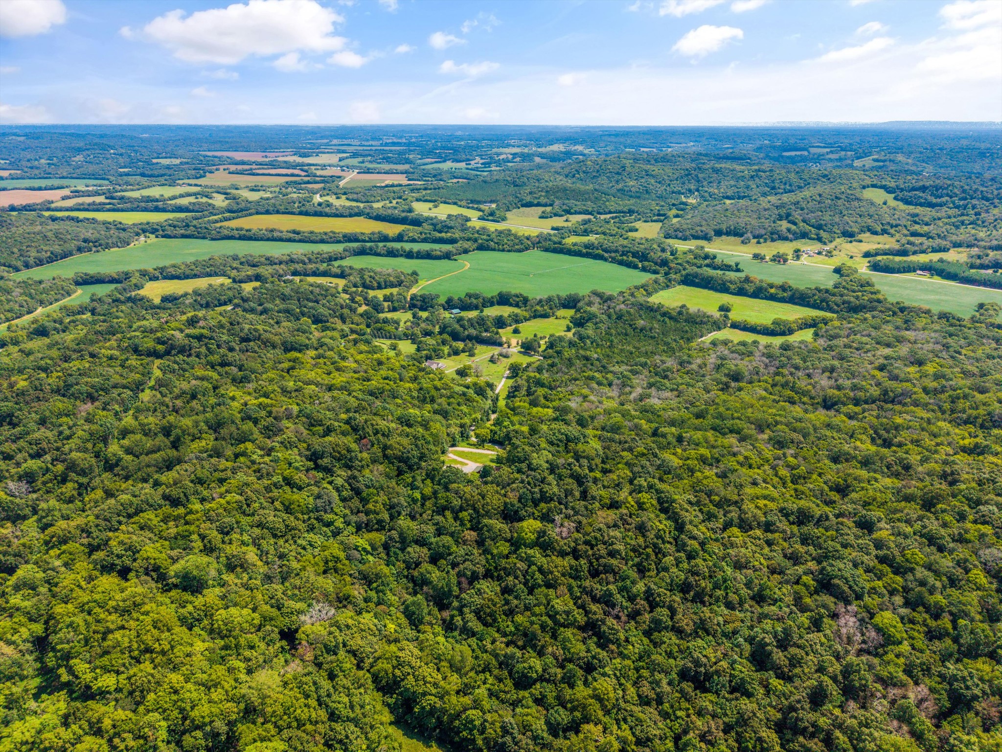195 Curtis Road Fayetteville, TN 37334 - Photo 39 of 45 a view of a city with lush green forest
