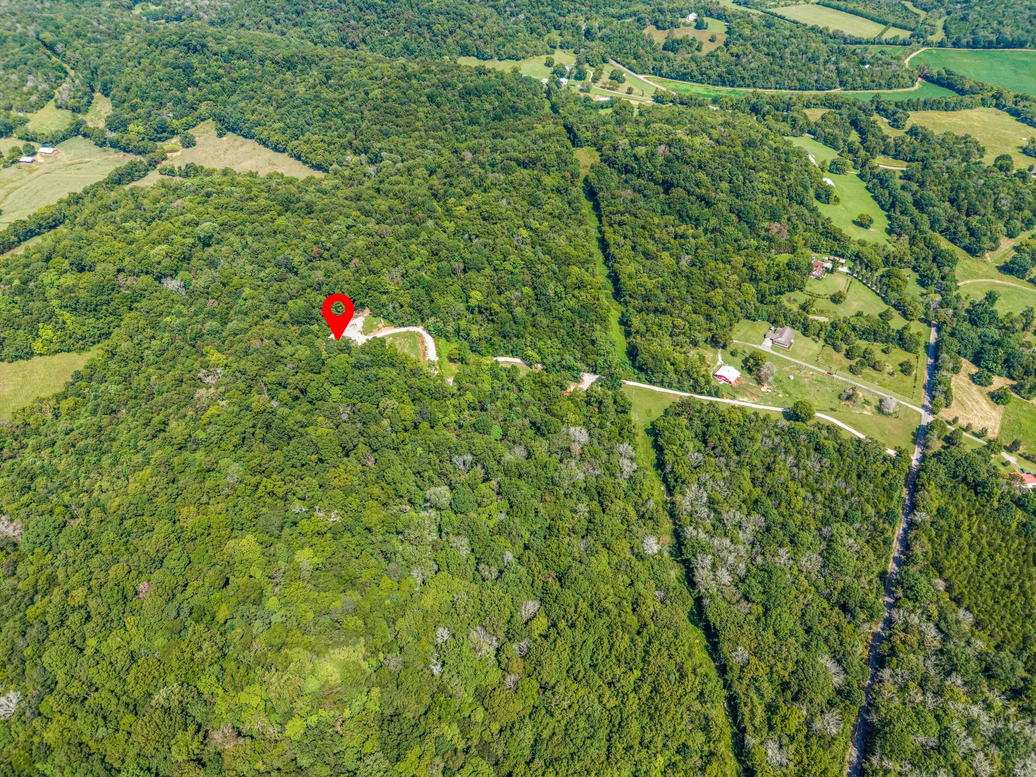 195 Curtis Road Fayetteville, TN 37334 - Photo 42 of 45 a view of a tree in a yard