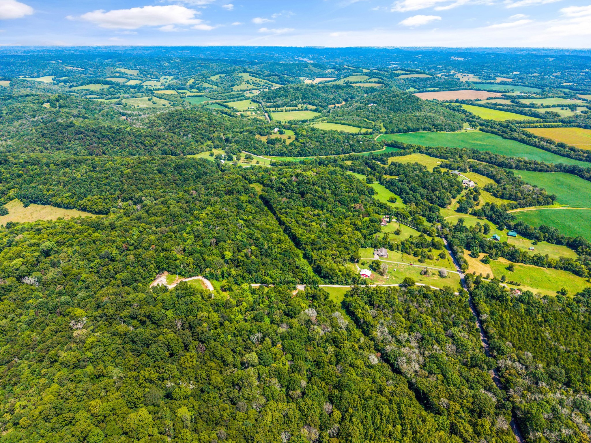 195 Curtis Road Fayetteville, TN 37334 - Photo 43 of 45 a view of a city with lush green forest