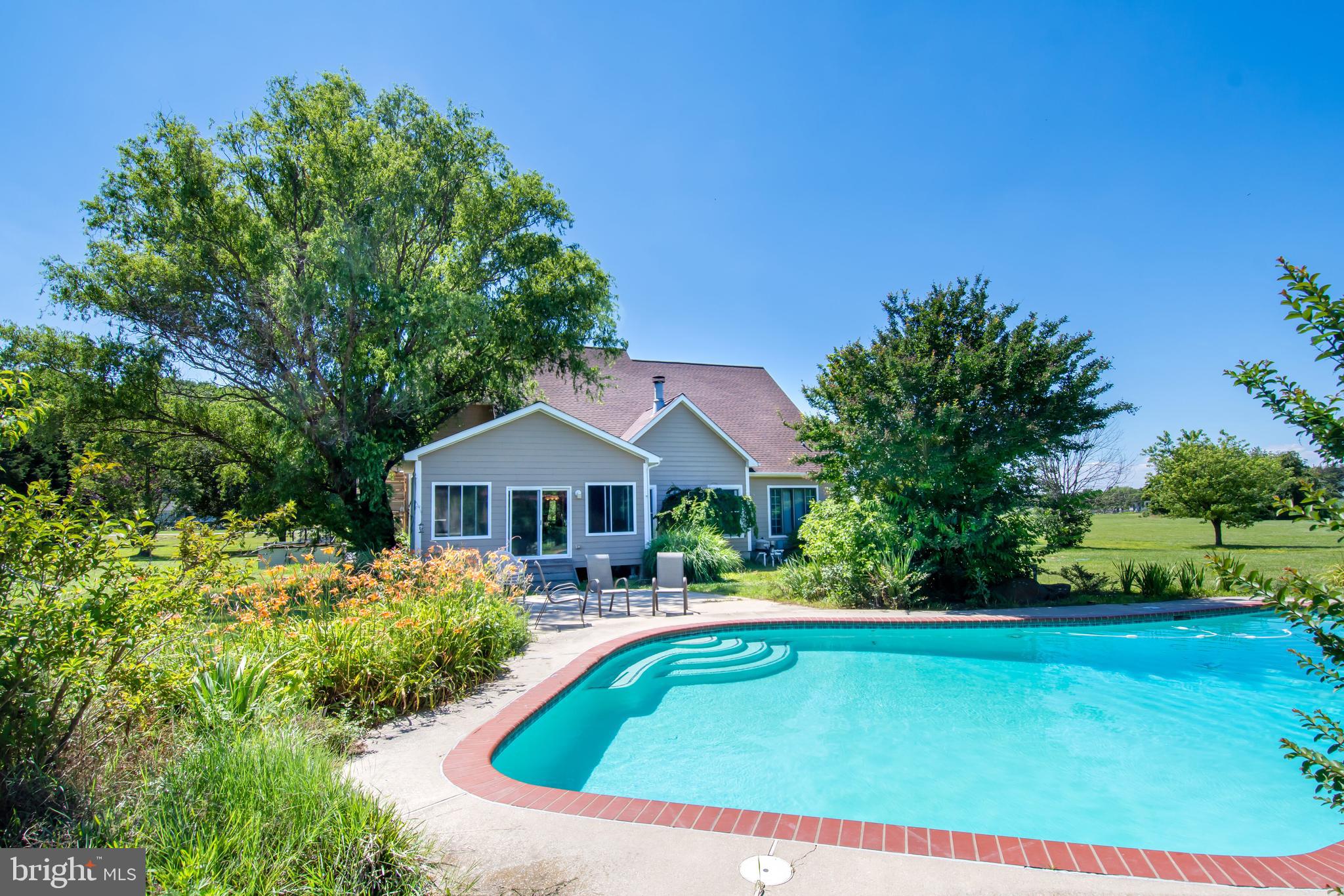 1310 Love Point Road Stevensville, MD 21666 - Photo 10 of 46 Pool and rear of house