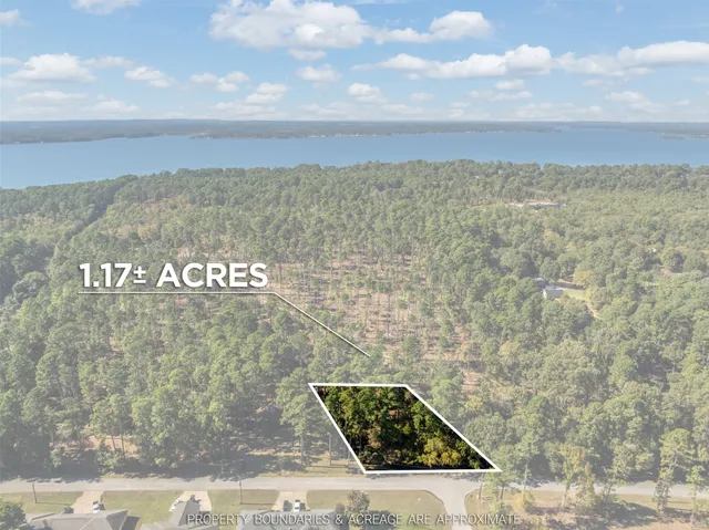 a view of a pathway both side of building