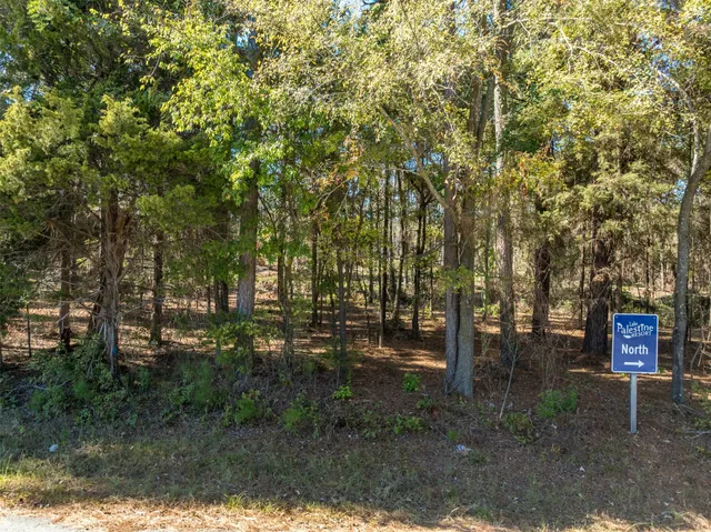 a view of outdoor space with deck and tree