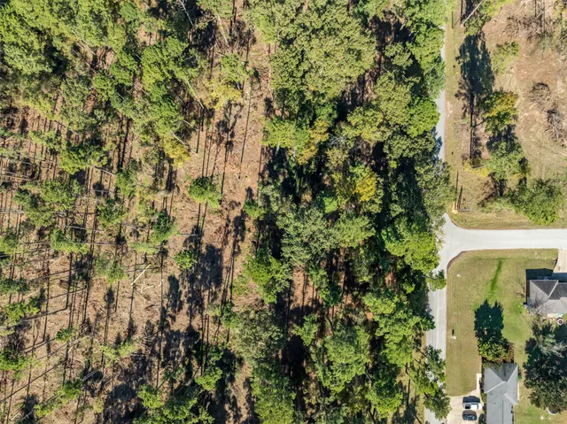 a view of a garden with a tree