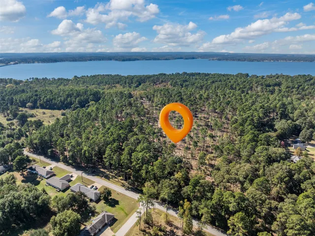a view of a bunch of trees and a houses